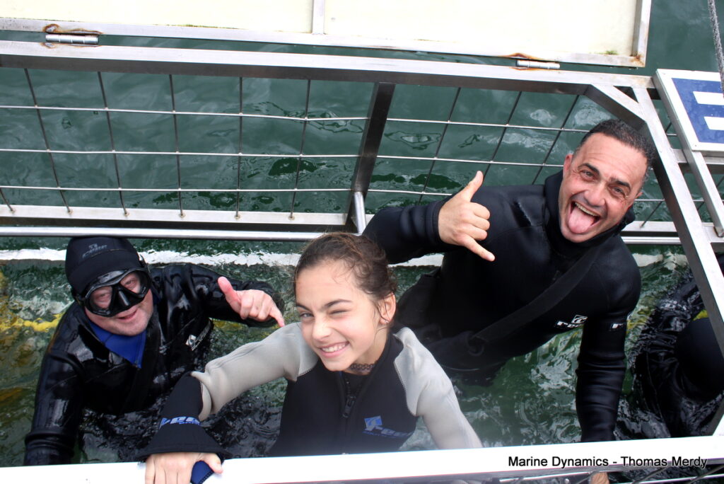 Shark cage diving, South Africa, Gansbaai