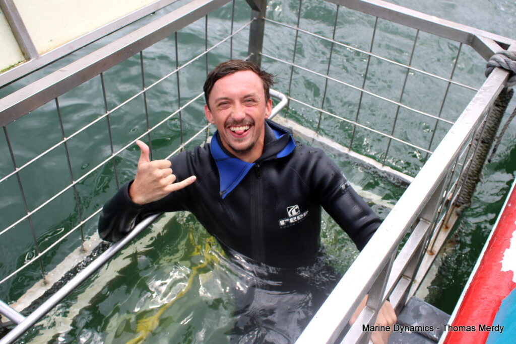 Shark cage diving, South Africa, Gansbaai