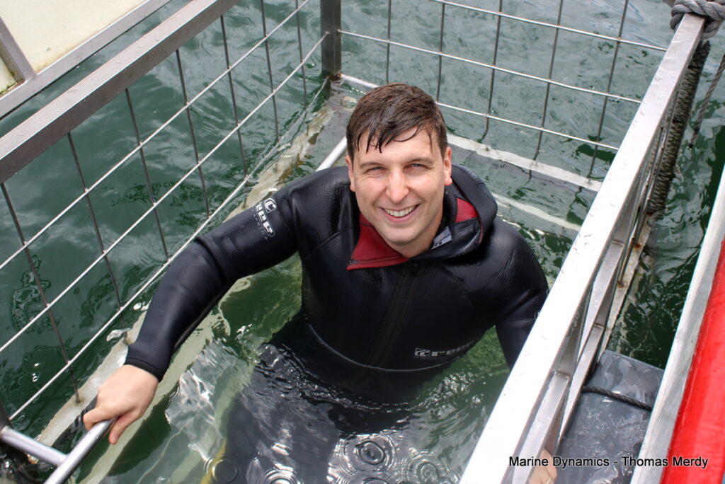 Shark cage diving, South Africa, Gansbaai