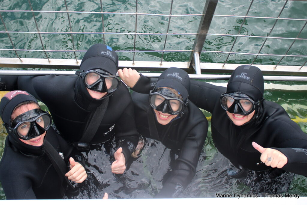 Shark cage diving, South Africa, Gansbaai