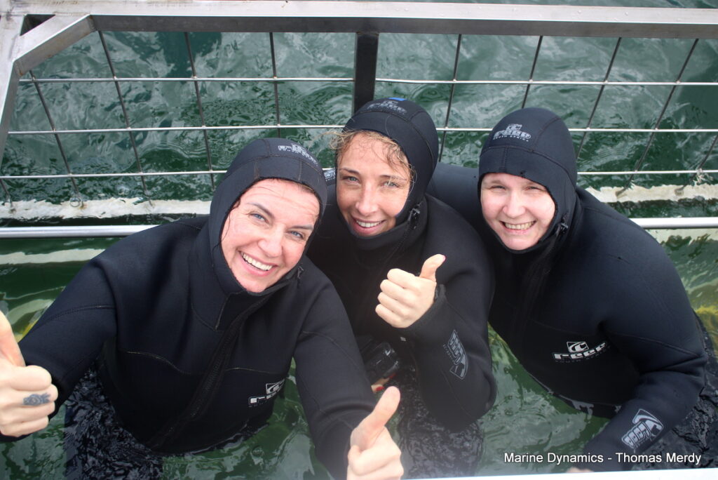 Shark cage diving, South Africa, Gansbaai