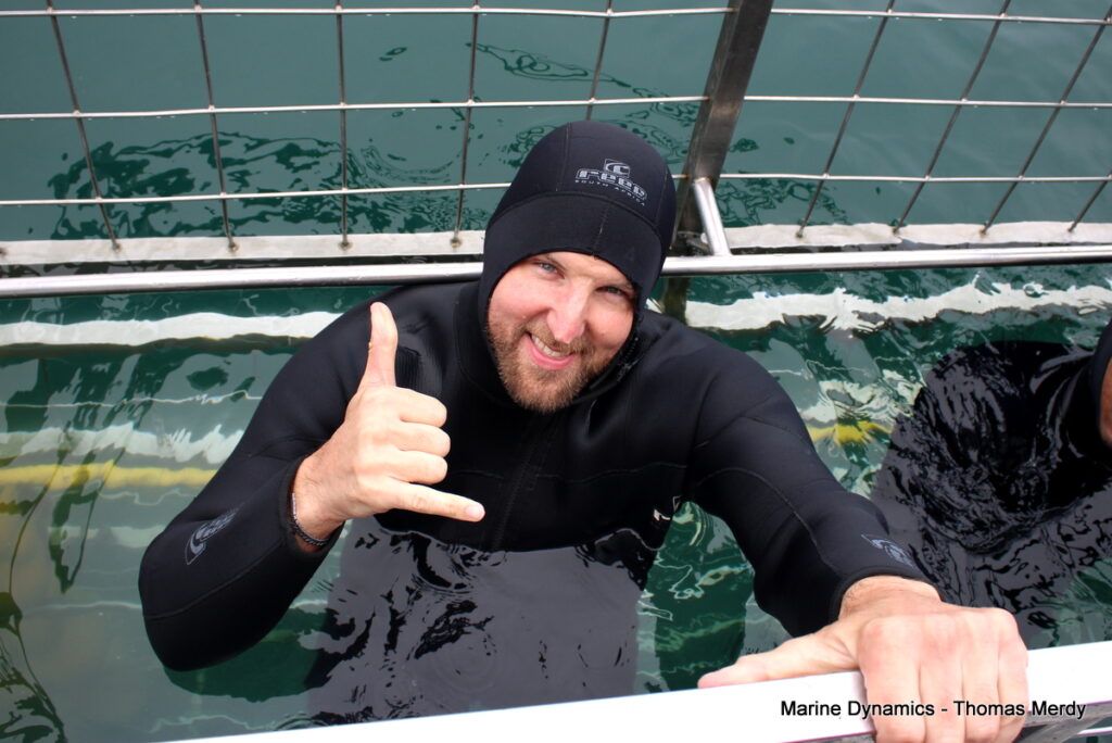 Shark cage diving, South Africa, Gansbaai