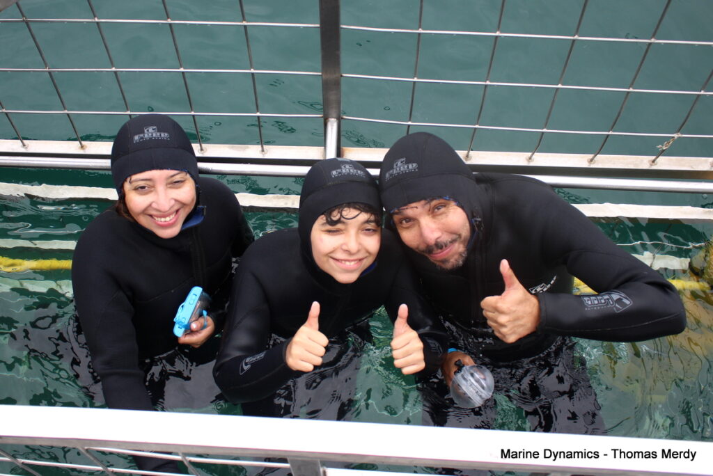 Shark cage diving, South Africa, Gansbaai
