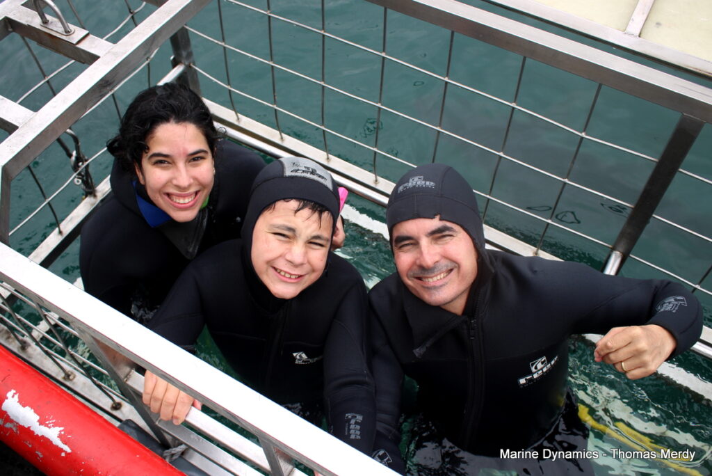 Shark cage diving, South Africa, Gansbaai