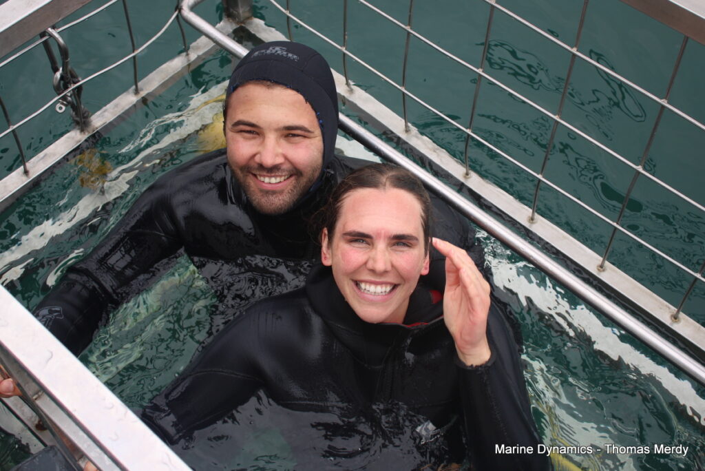 Shark cage diving, South Africa, Gansbaai