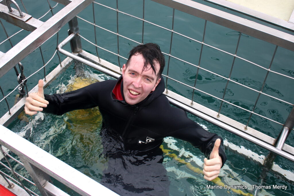 Shark cage diving, South Africa, Gansbaai