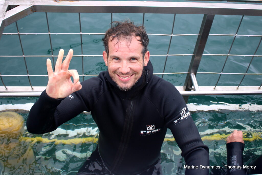 Shark cage diving, South Africa, Gansbaai