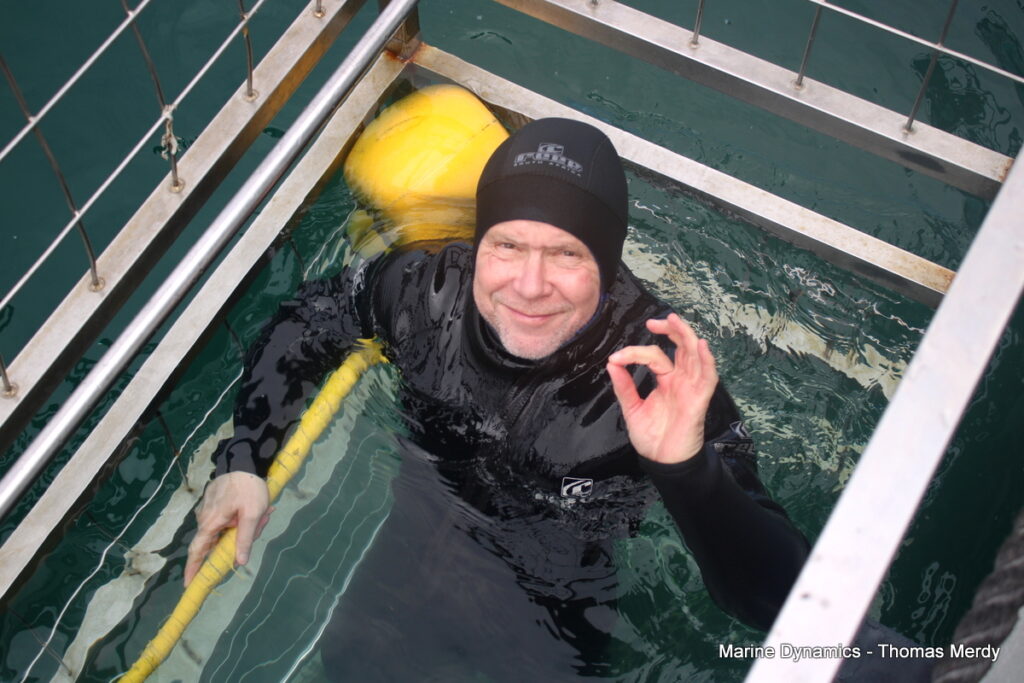 Shark cage diving, South Africa, Gansbaai