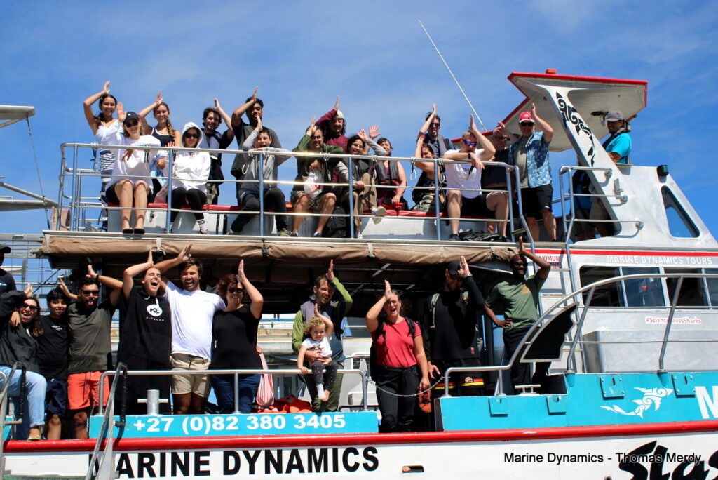 Shark cage diving, South Africa, Gansbaai