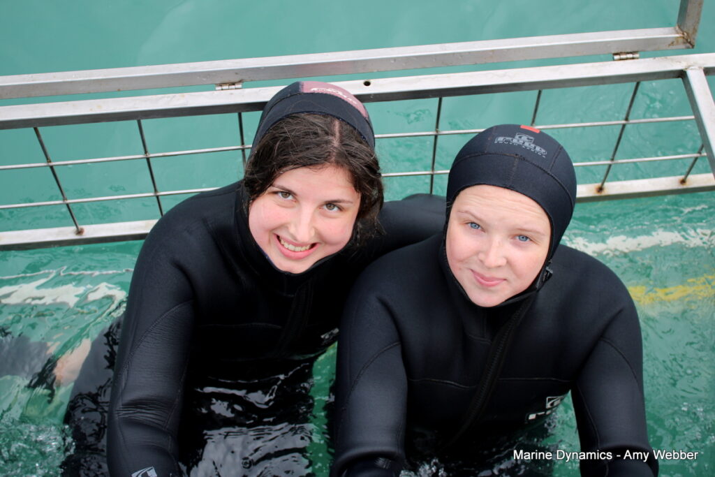 shark cage diving, Gansbaai, South Africa