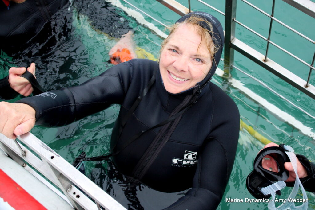 shark cage diving, Gansbaai, South Africa