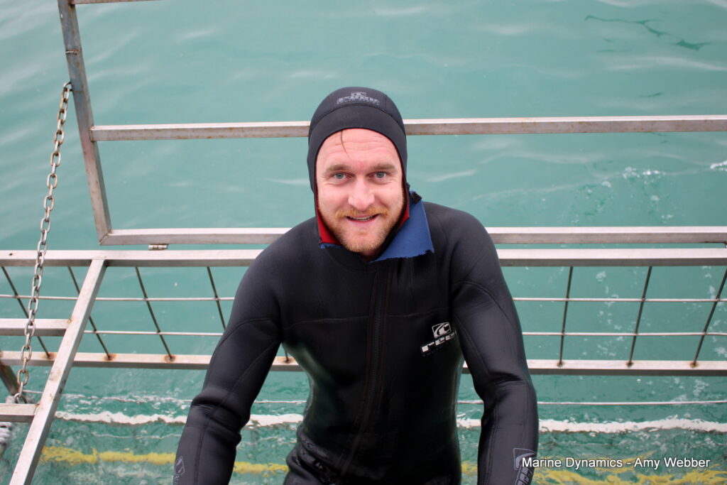 shark cage diving, Gansbaai, South Africa