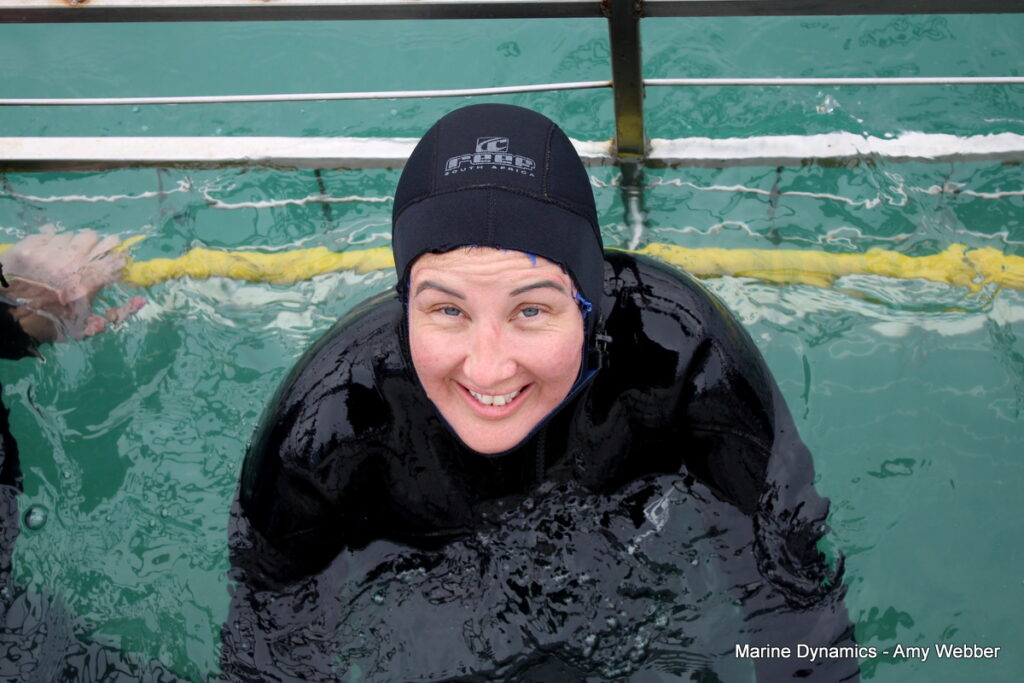 shark cage diving, Gansbaai, South Africa