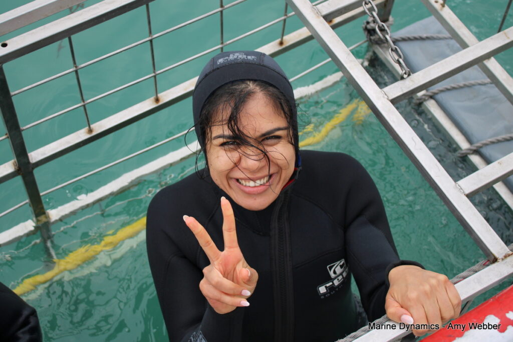 shark cage diving, Gansbaai, South Africa
