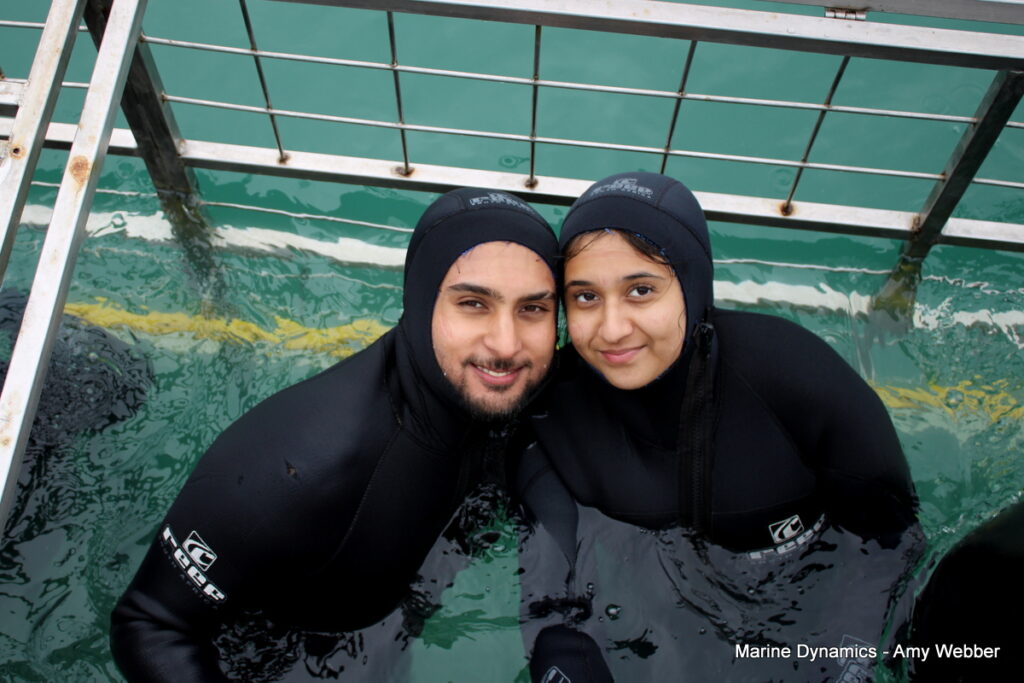 shark cage diving, Gansbaai, South Africa