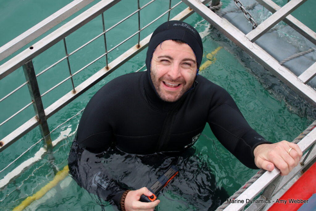 shark cage diving, Gansbaai, South Africa