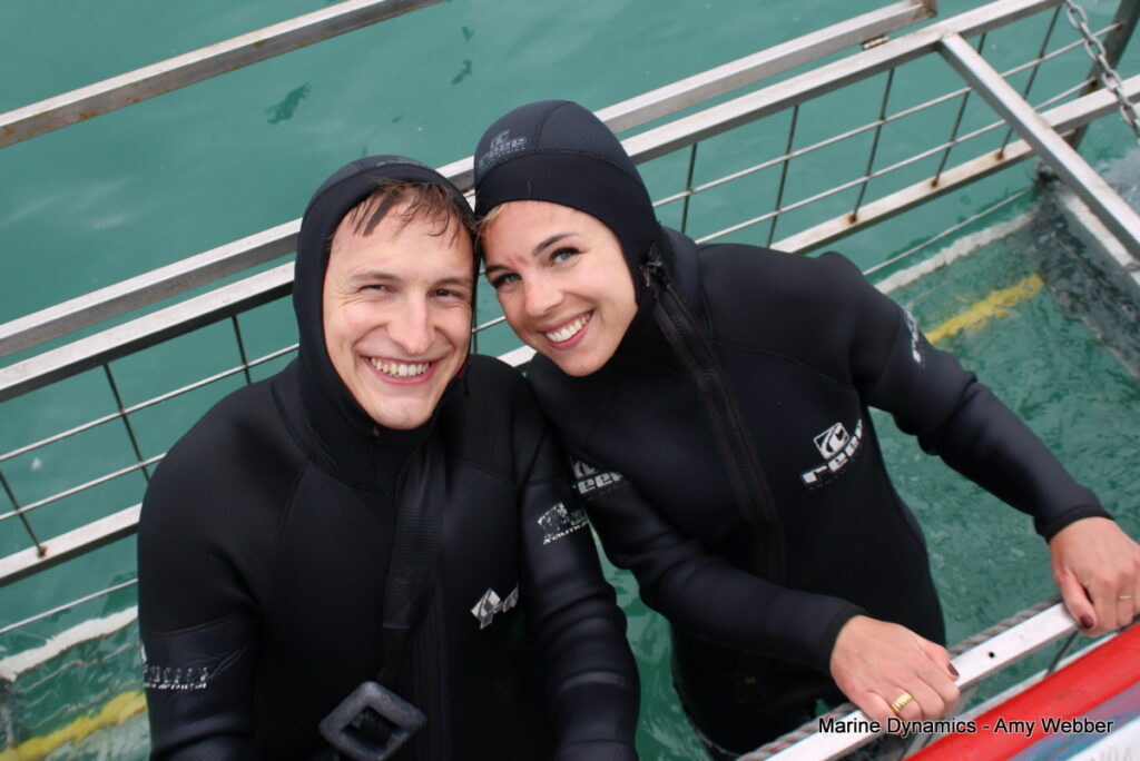 shark cage diving, Gansbaai, South Africa