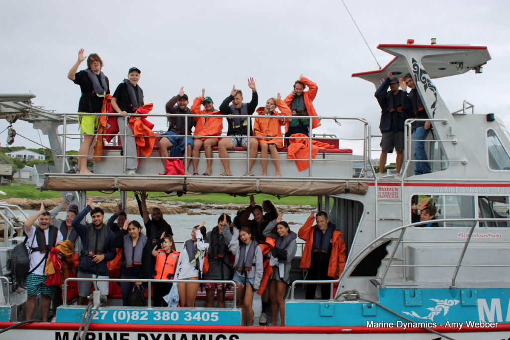 shark cage diving, Gansbaai, South Africa