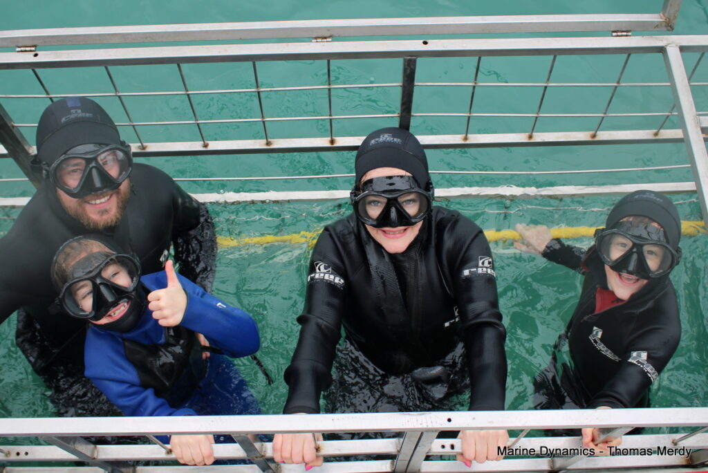 shark cage diving, Gansbaai, South Africa
