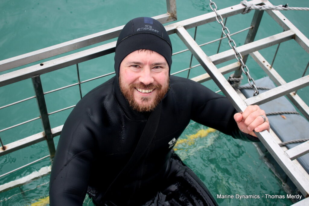shark cage diving, Gansbaai, South Africa