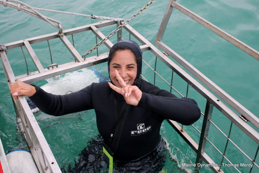 shark cage diving, Gansbaai, South Africa