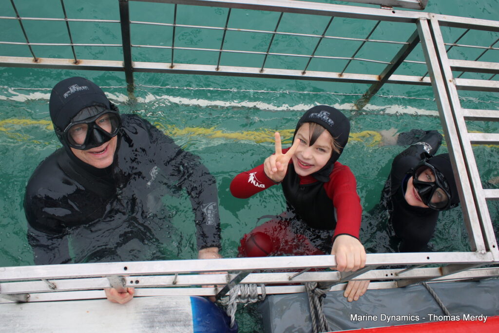 shark cage diving, Gansbaai, South Africa