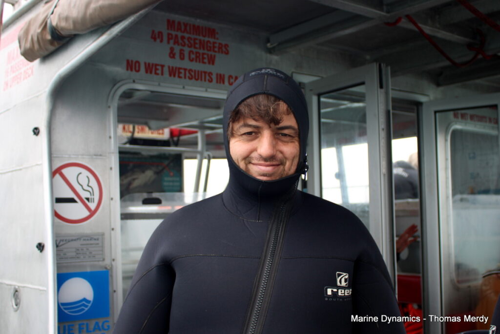 shark cage diving, Gansbaai, South Africa