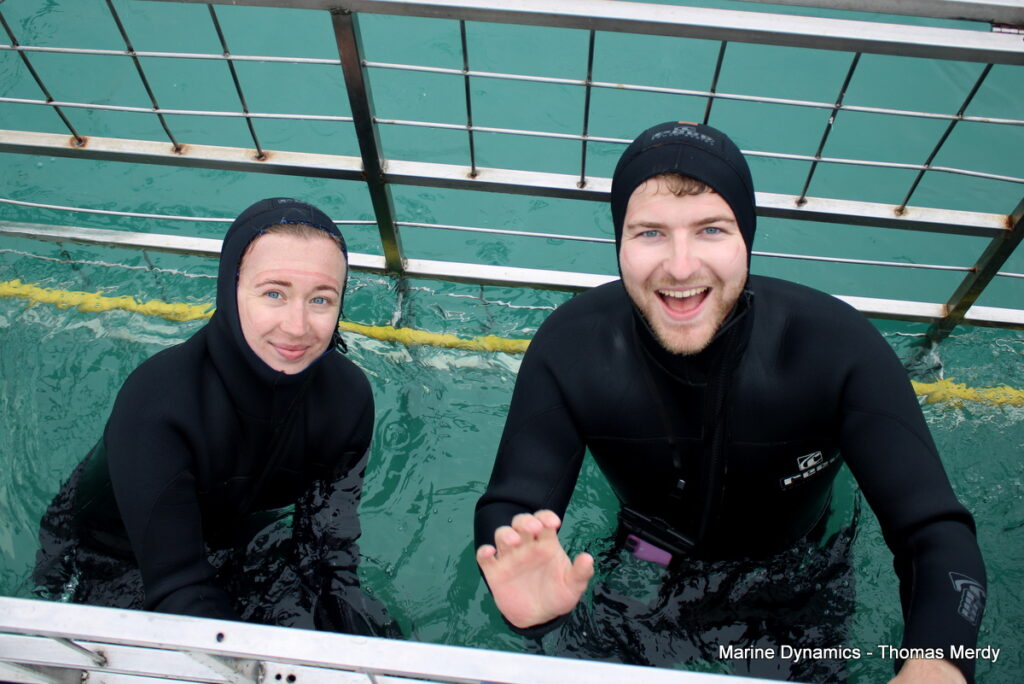 shark cage diving, Gansbaai, South Africa