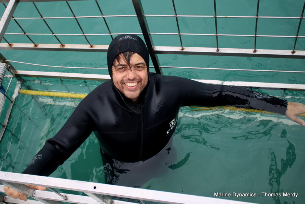 shark cage diving, Gansbaai, South Africa