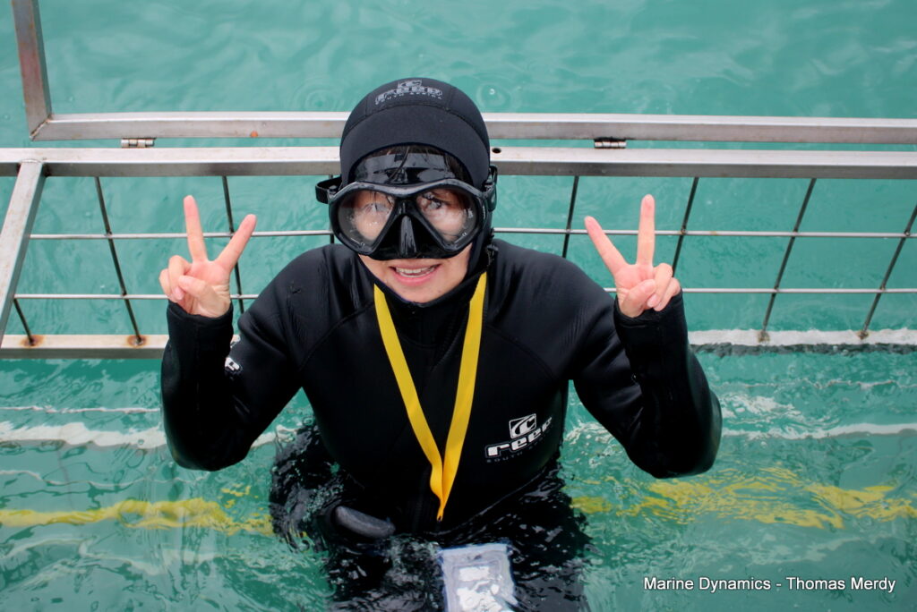 shark cage diving, Gansbaai, South Africa