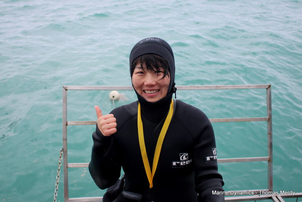 shark cage diving, Gansbaai, South Africa
