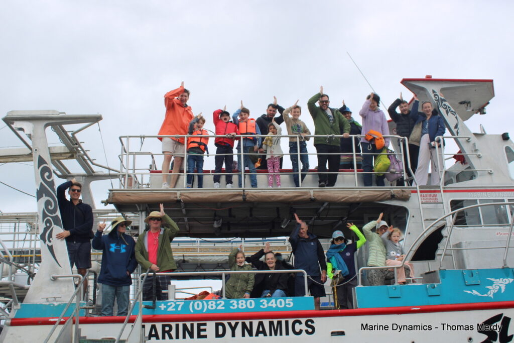 shark cage diving, Gansbaai, South Africa