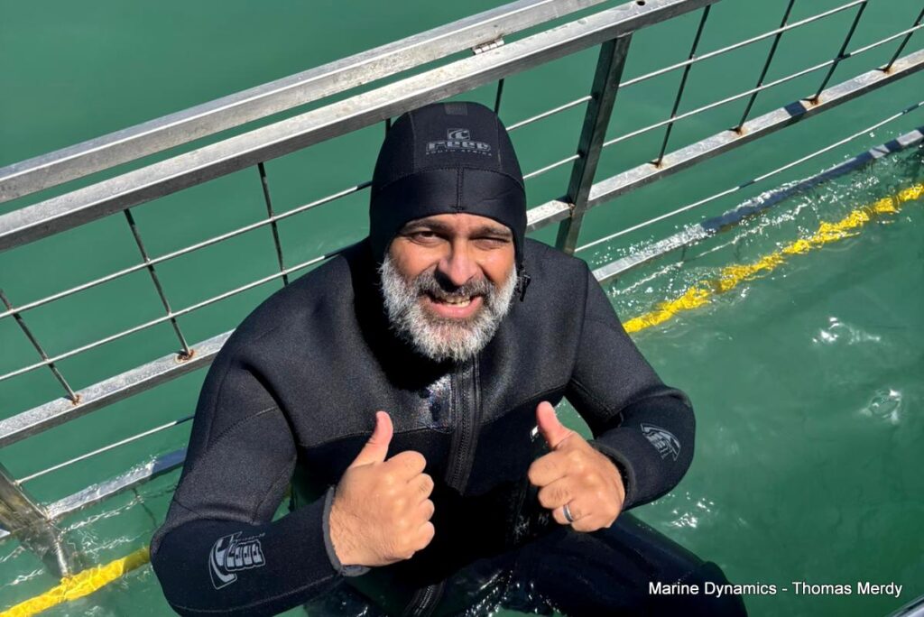 Shark cage diving, South Africa, Gansbaai