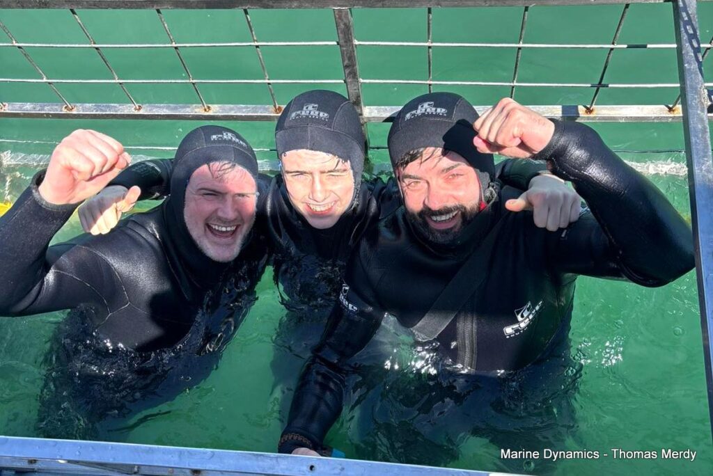 Shark cage diving, South Africa, Gansbaai