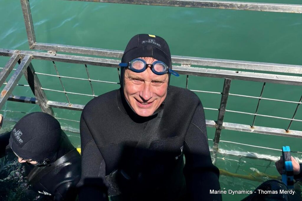 Shark cage diving, South Africa, Gansbaai