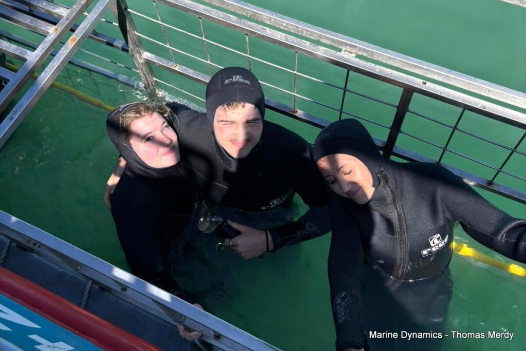 Shark cage diving, South Africa, Gansbaai