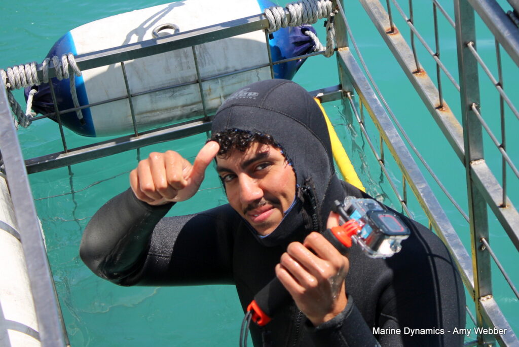 Shark cage diving, Gansbaai, South AFRICA