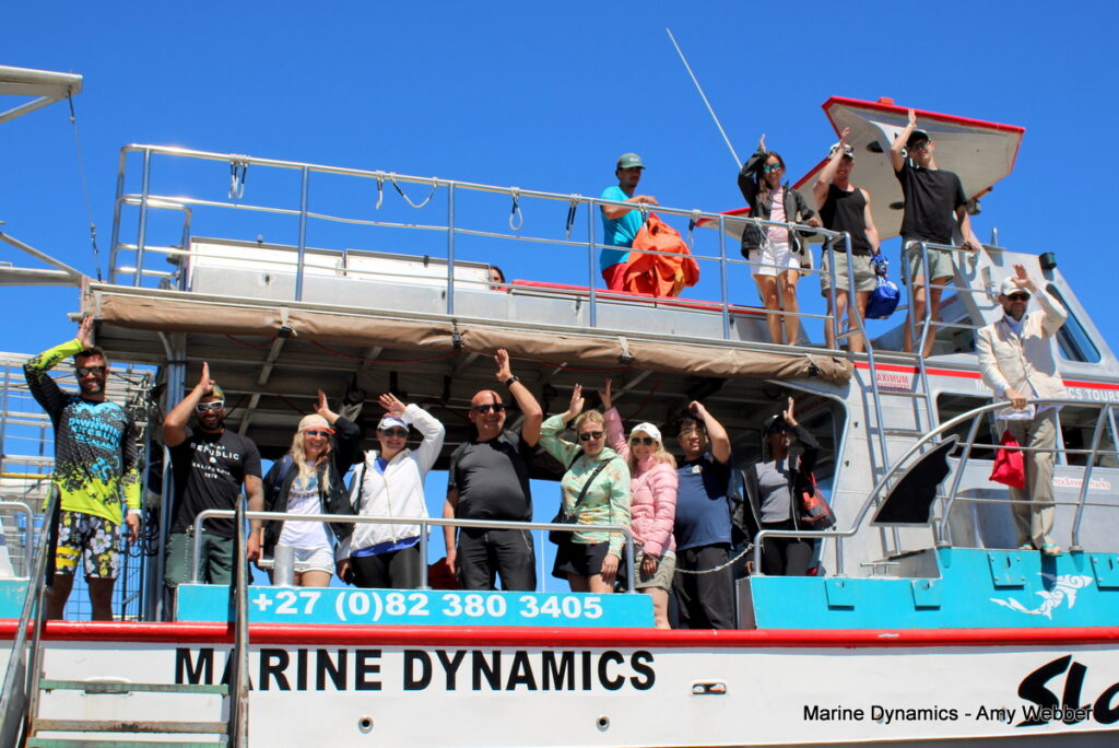 Shark cage diving, Gansbaai, South AFRICA