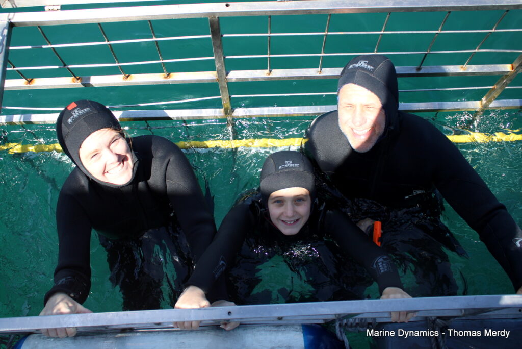 Shark cage diving, South Africa, Gansbaai