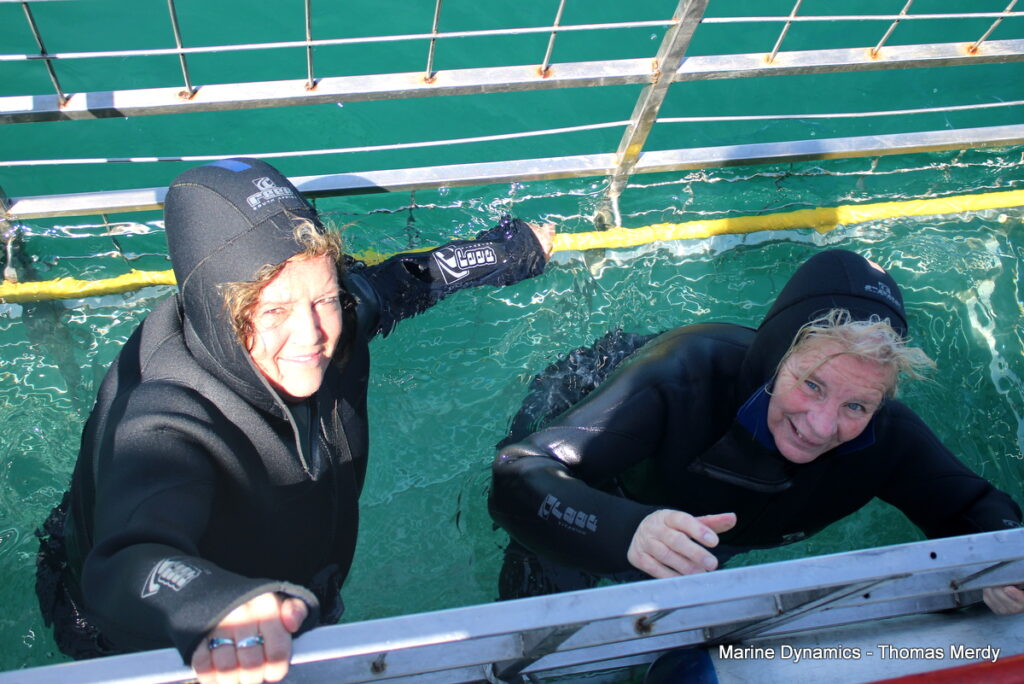 Shark cage diving, South Africa, Gansbaai