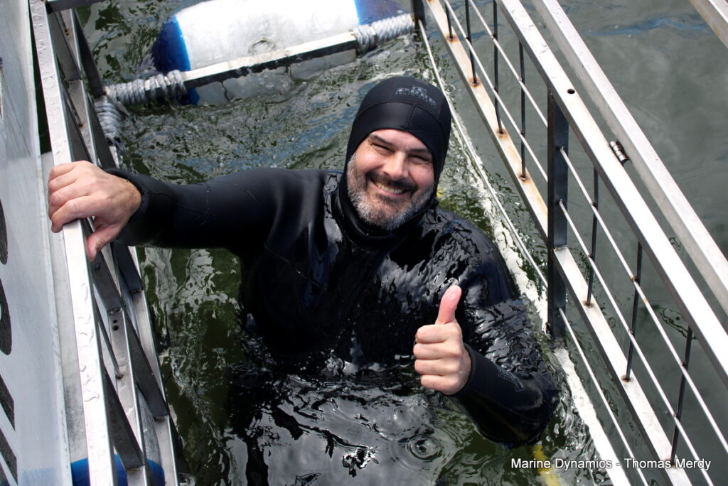 Shark cage diving, South Africa, Gansbaai
