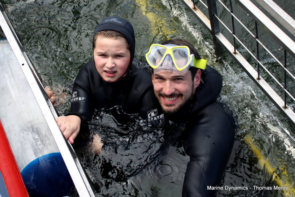 Shark cage diving, South Africa, Gansbaai