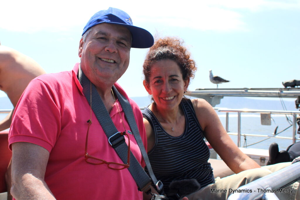 Shark cage diving, South Africa, Gansbaai