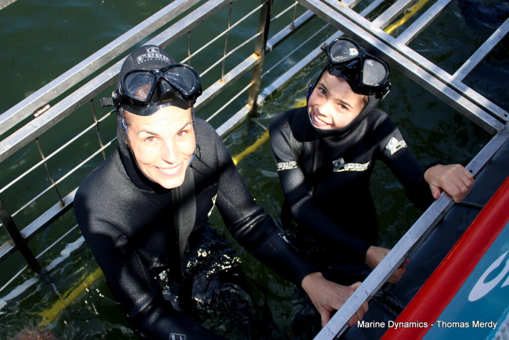 Shark cage diving, South Africa, Gansbaai
