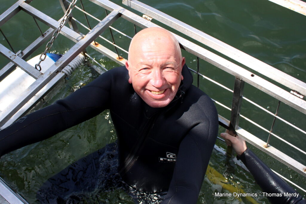 Shark cage diving, South Africa, Gansbaai