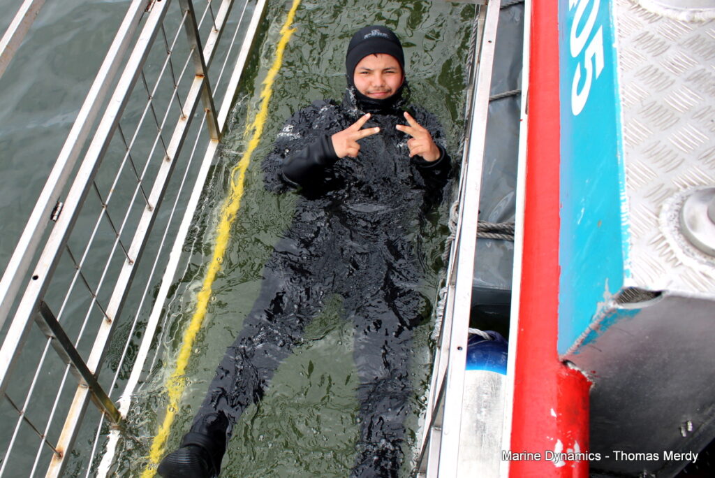 Shark cage diving, South Africa, Gansbaai
