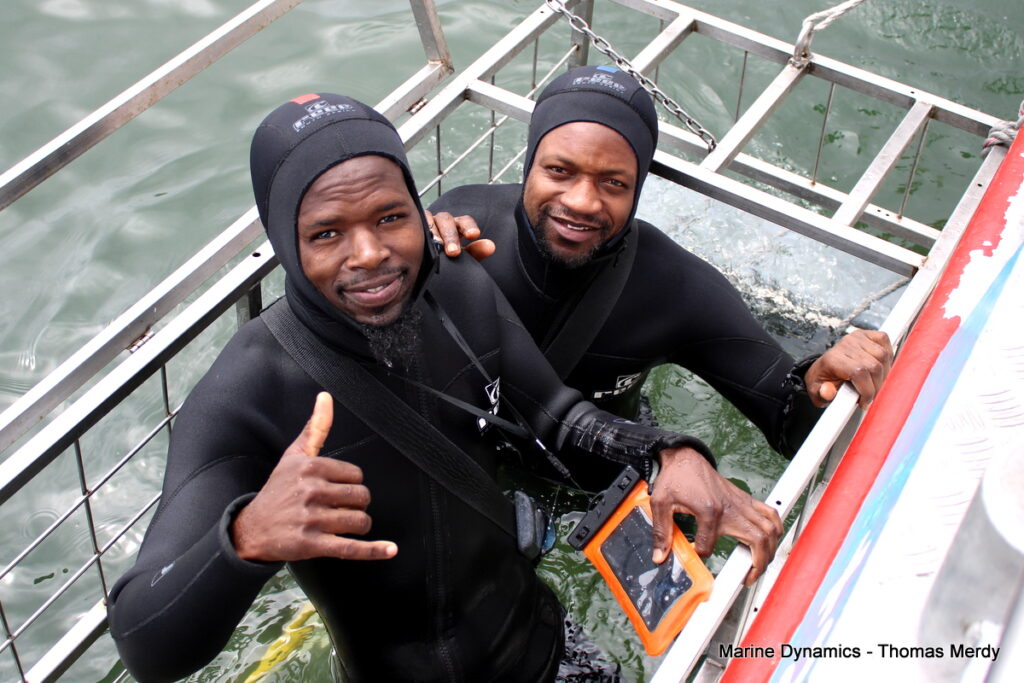South Africa, Gansbaai, Shark cage diving