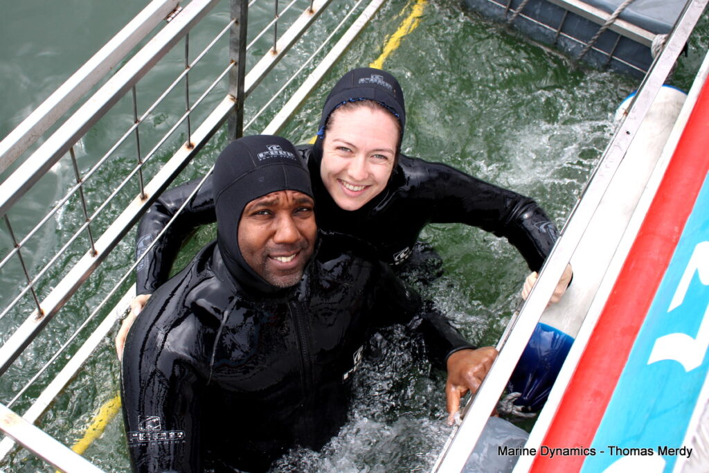 South Africa, Gansbaai, Shark cage diving