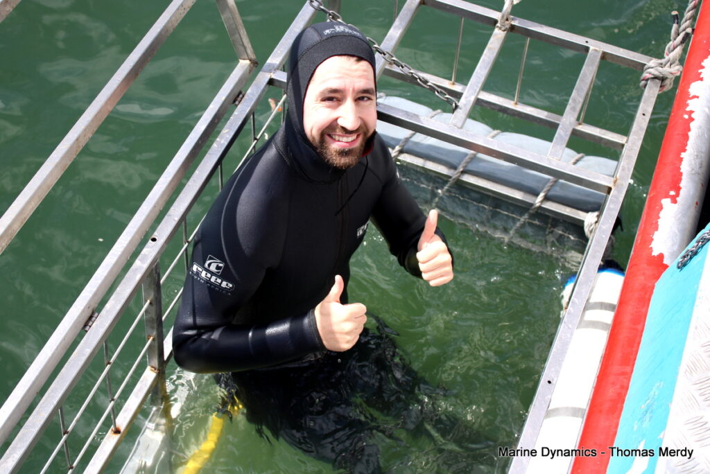 South Africa, Gansbaai, Shark cage diving