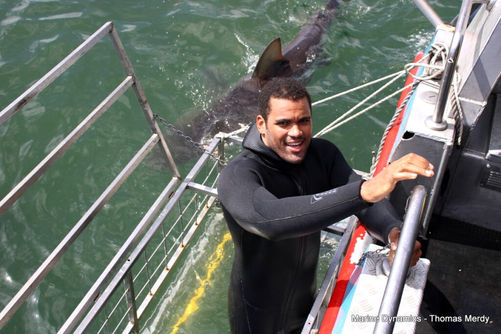 South Africa, Gansbaai, Shark cage diving